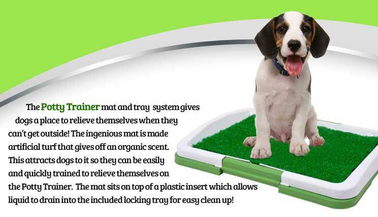 Dog Potty Trainer