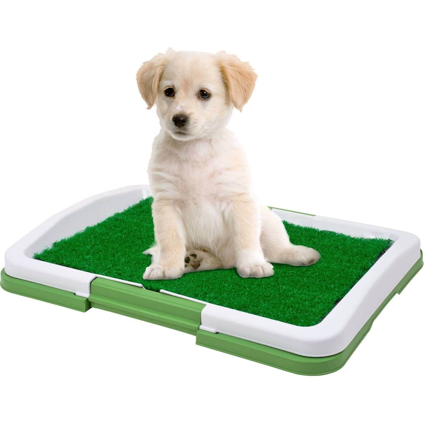 Dog Potty Trainer